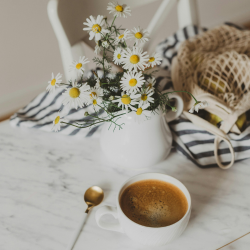 Einmaling supervision